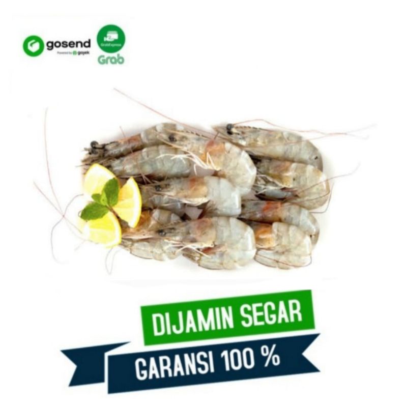 

Udang Vaname Fresh Segar 1kg