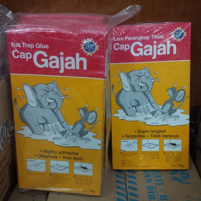 

LEM TIKUS GAJAH PAPAN 75GR