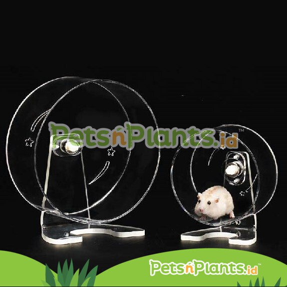 Mainan Roda Kandang Hamster Akrilik - Silent Running Wheel Import - 13 CM