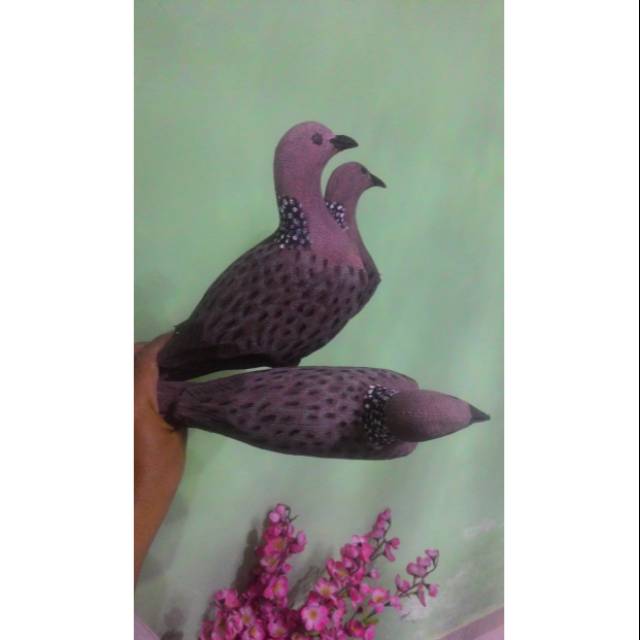 Jontrot/decoy/pikatan