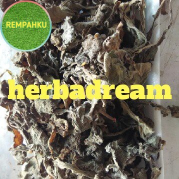 

DAUN DEWA / SAMSIT KERING 50 GRAM - Gynura Divaricata - MURNI -