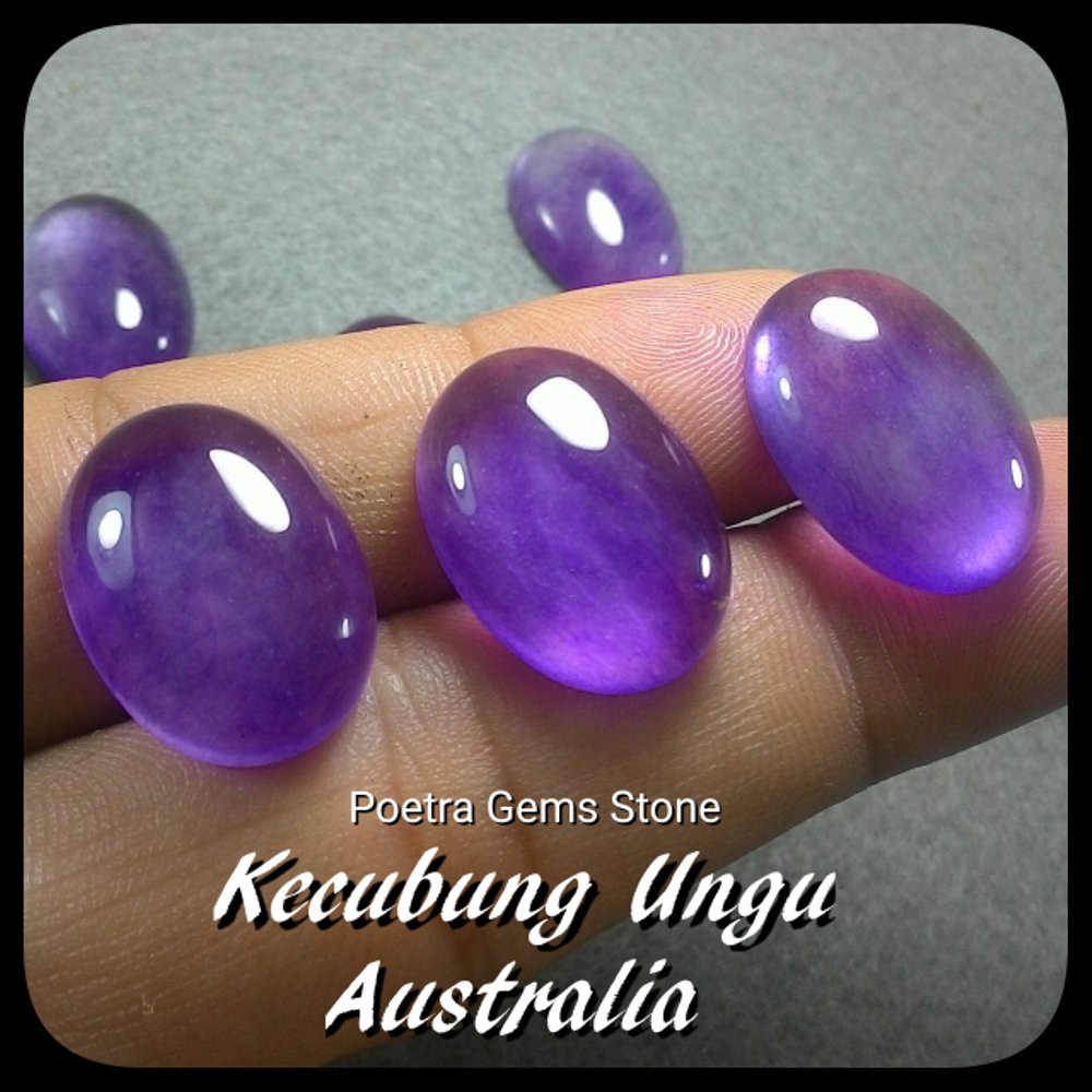 KECUBUNG UNGU AUSTRALIA SERAT BENING KRISTAL