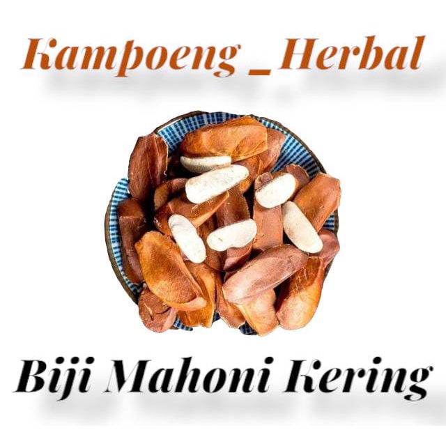 Biji mahoni kering 200 gram biji mahoni kering