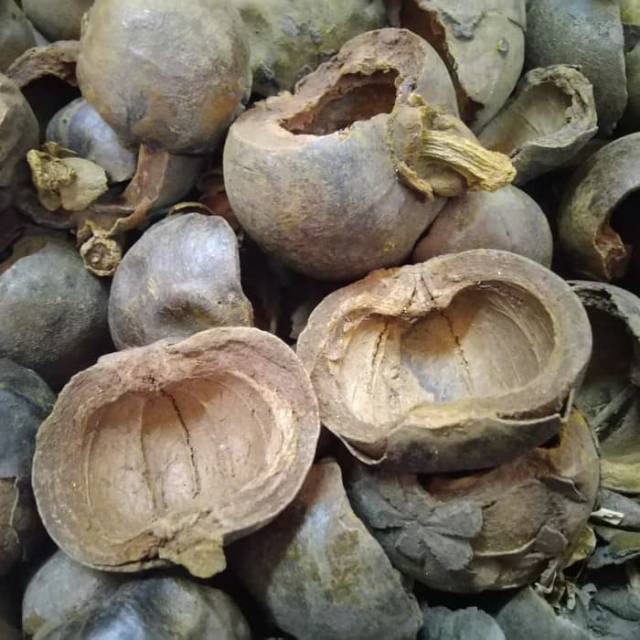 

Kulit Manggis Kering Herbal