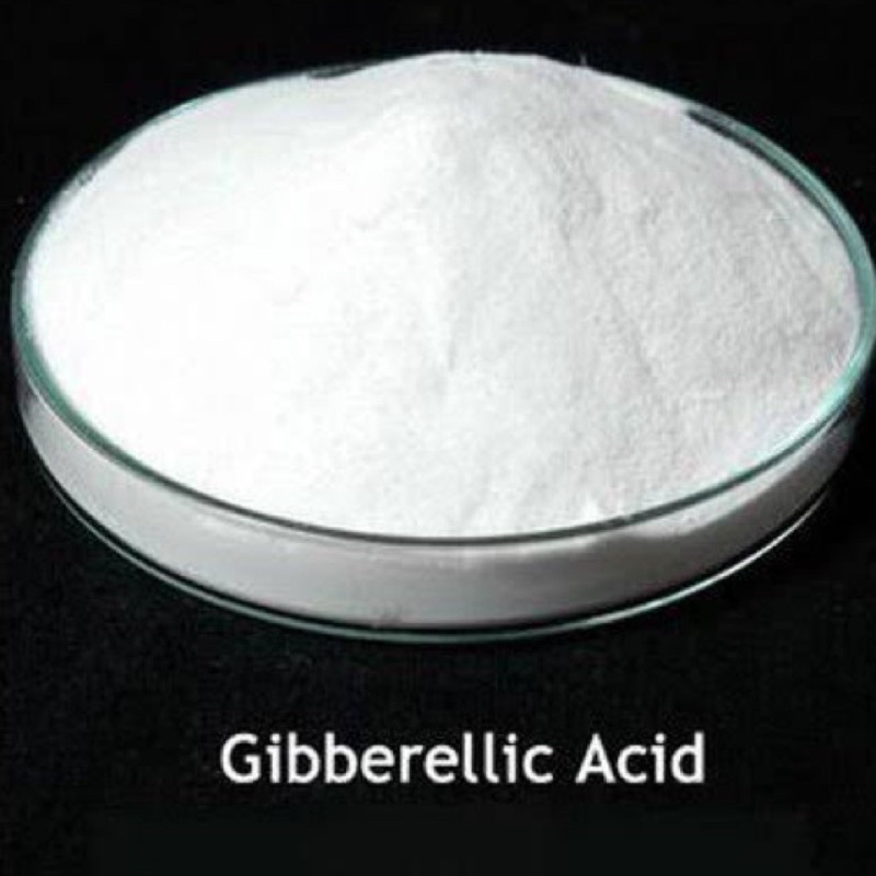 GA3 1Kg