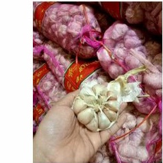 

bawang putih