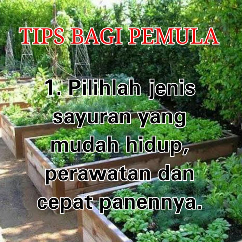 Paket Hemat Berkebun Rumahan Murah Terlengkap