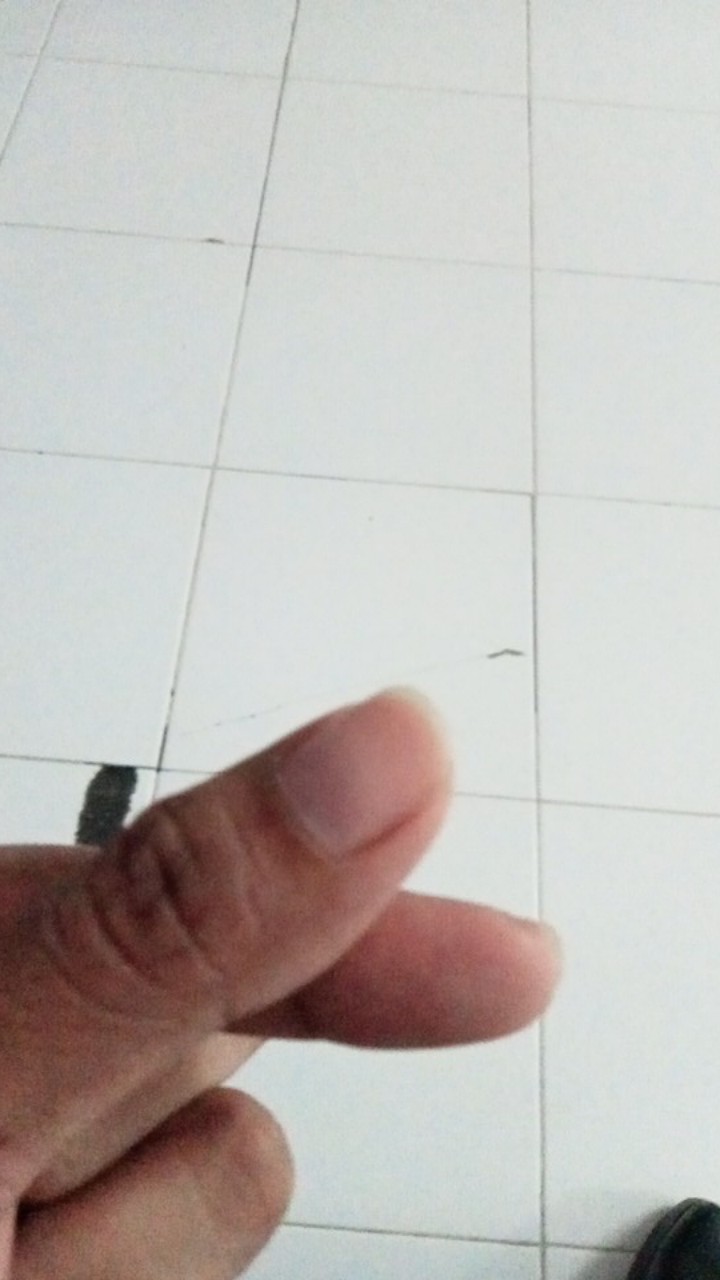 Pengurai Limbah Hotel, Apartemen Dan Gedung Perkantoran - Bioprisma