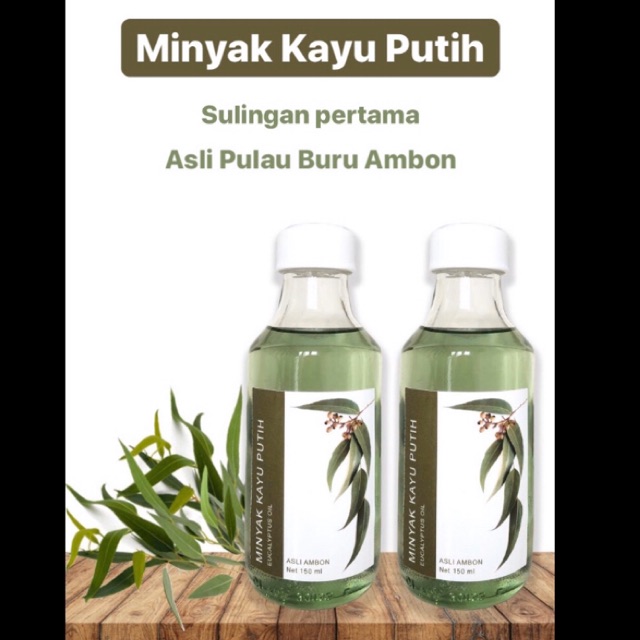 minyak kayu putih ambon asli buru murni 150 ml eucalyptus oil