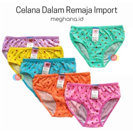 GROSIR 12 PCS Celana Dalam Wanita Motif Ukuran ampe extra jumbo size L ,XL, Merk Ziaqimei