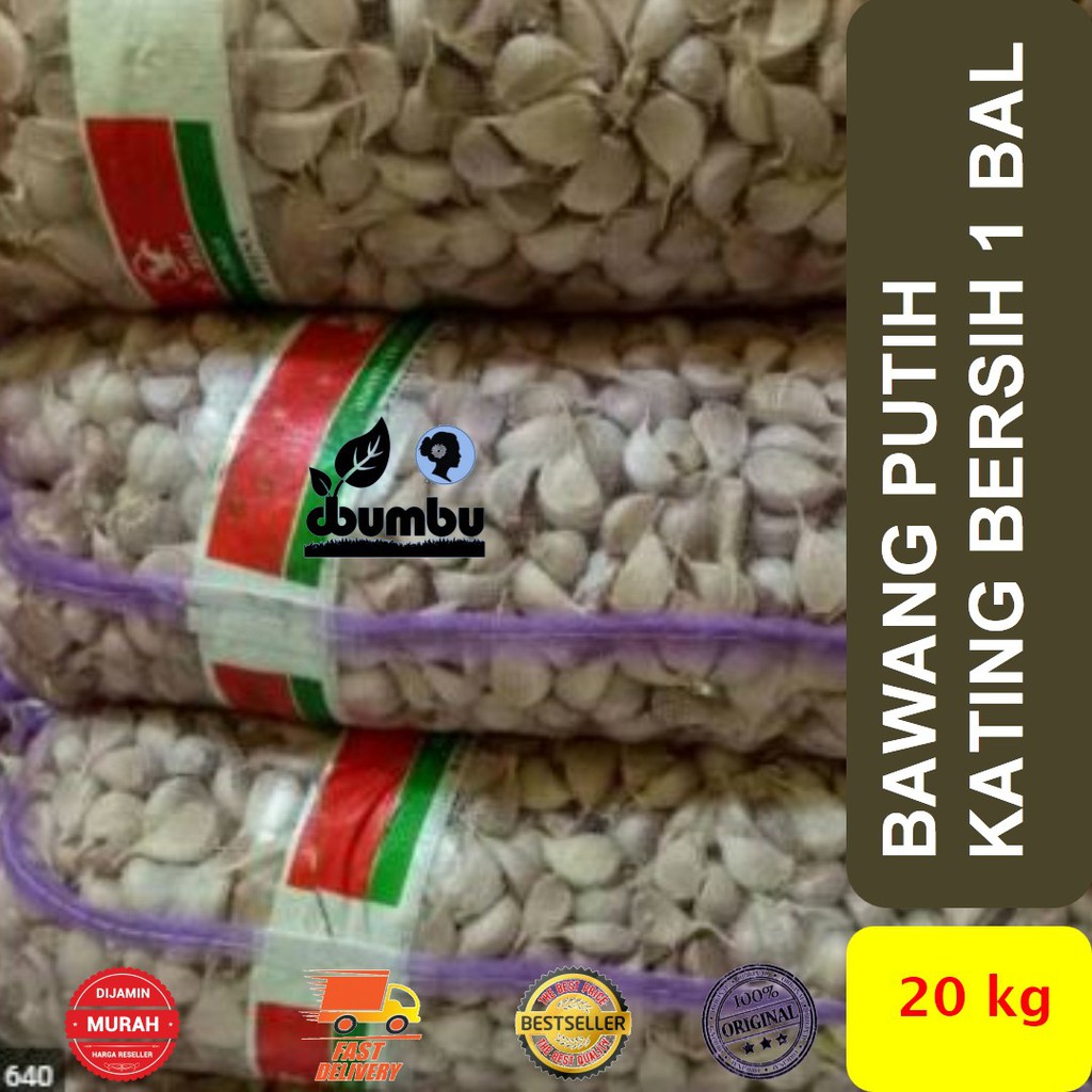 

Bawang Putih Kating Bersih kemasan bal 20 kg