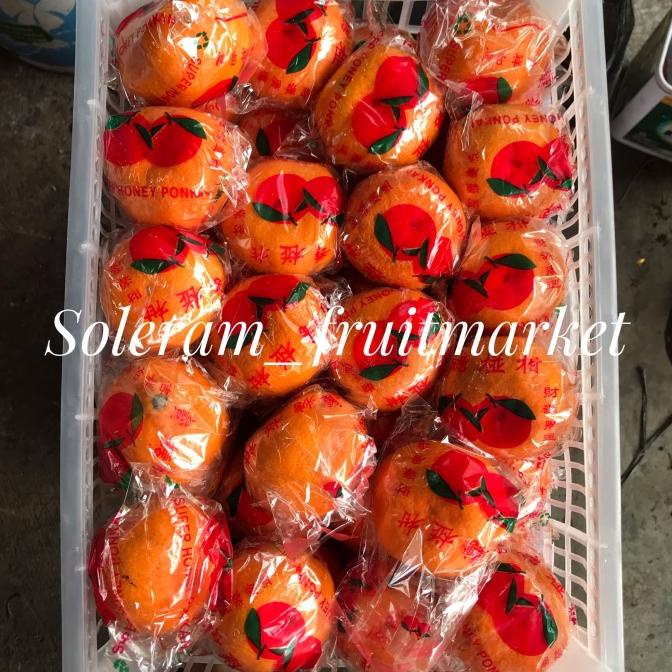 Buah Jeruk Ponkam Keranjang Mandarin Ukuran L(Besar)Imlek Sincia Manis