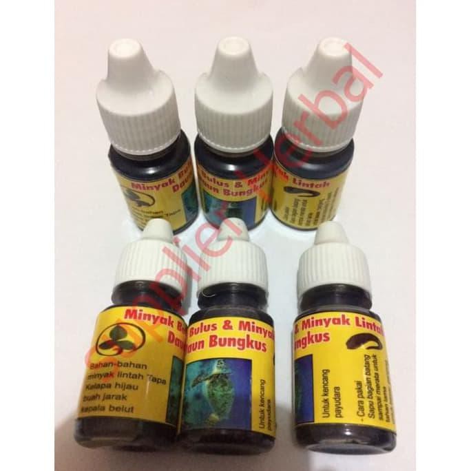 minyak bulus+lintah hitam+daun bungkus