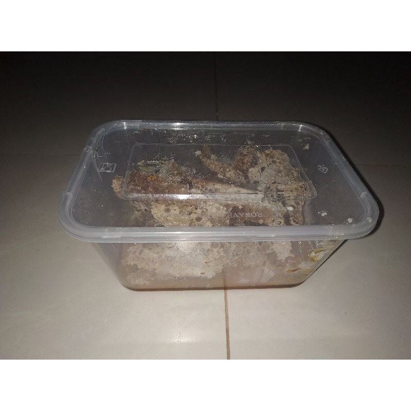 

Sarang Lebah madu