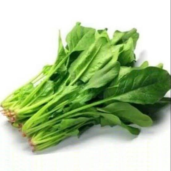 

horenso 500gr