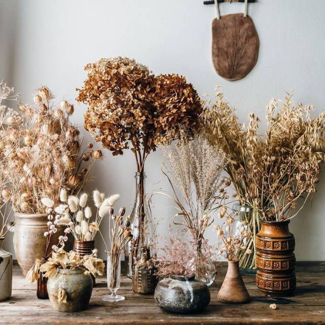 Aneka Bunga kering Dried Flower PomPom Springkle Pikok Aneka Bunga kering Dried Flower PomPom Springkle Pikok