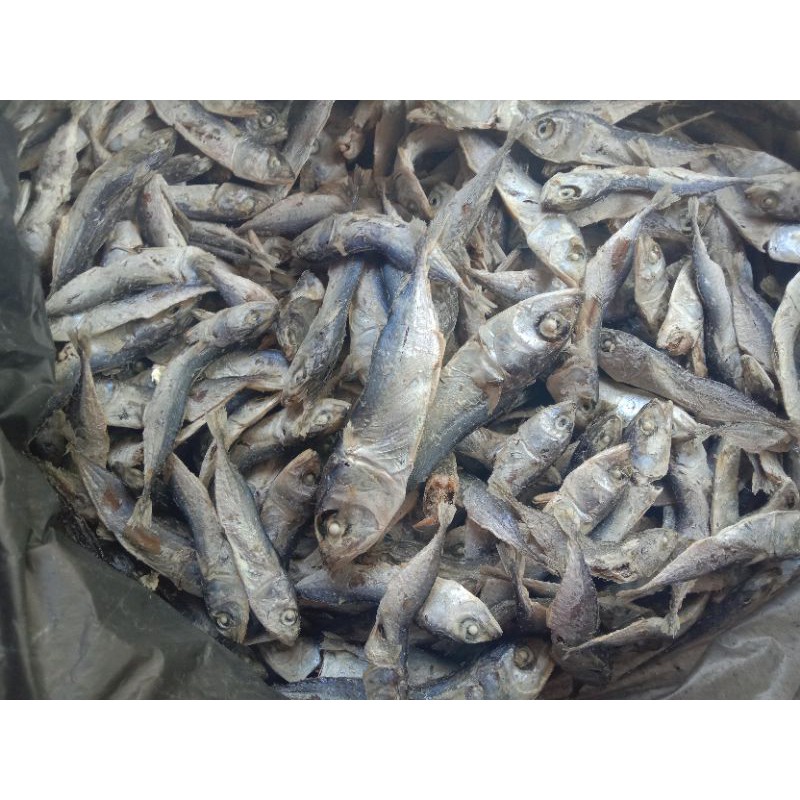 

Ikan Deman atau Ikan Rebus Dencis Kecil