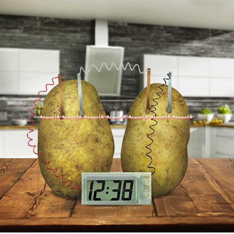 4M Green Science Potato Clock Mainan Membuat Kreasi Jam Dengan Energi Kentang