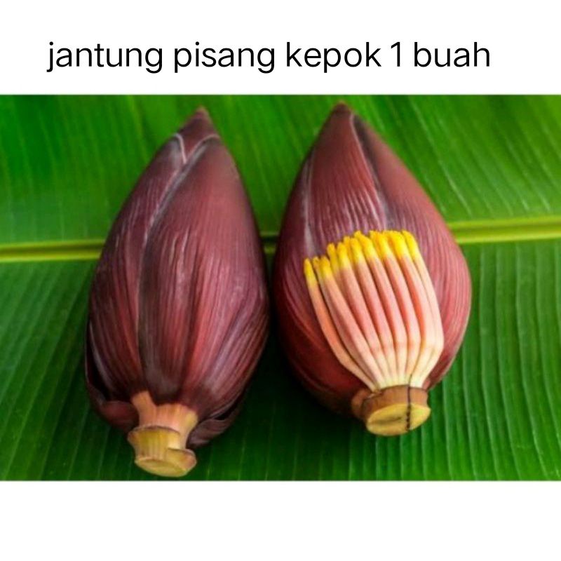 

jantung pisang 1 pcs