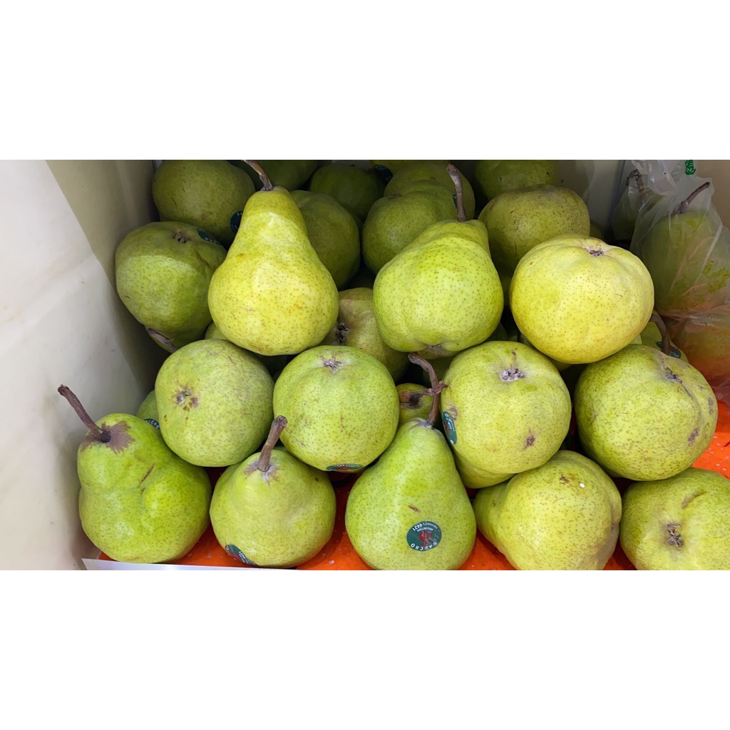 

PEAR PACKAM 500GR | BUAH PEAR PACKAM 500GR BANDUNG | BUAH PIR PACKAM 500GR BANDUNG | BUAH SEGAR BANDUNG | WARUNG CEU ENGKAY