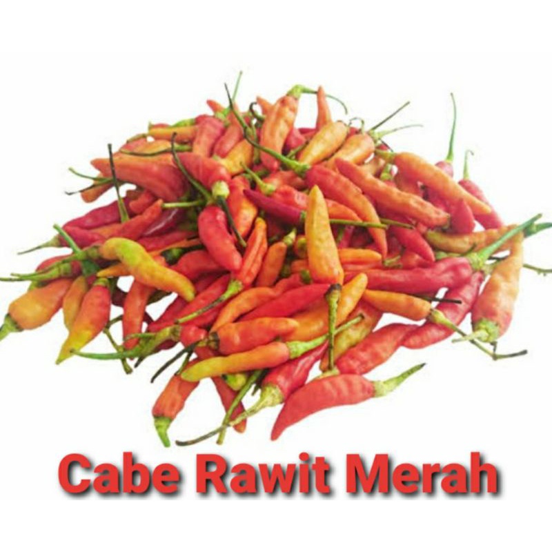 

Cabe Rawit Merah / Cabe Setan / Rawit Merah