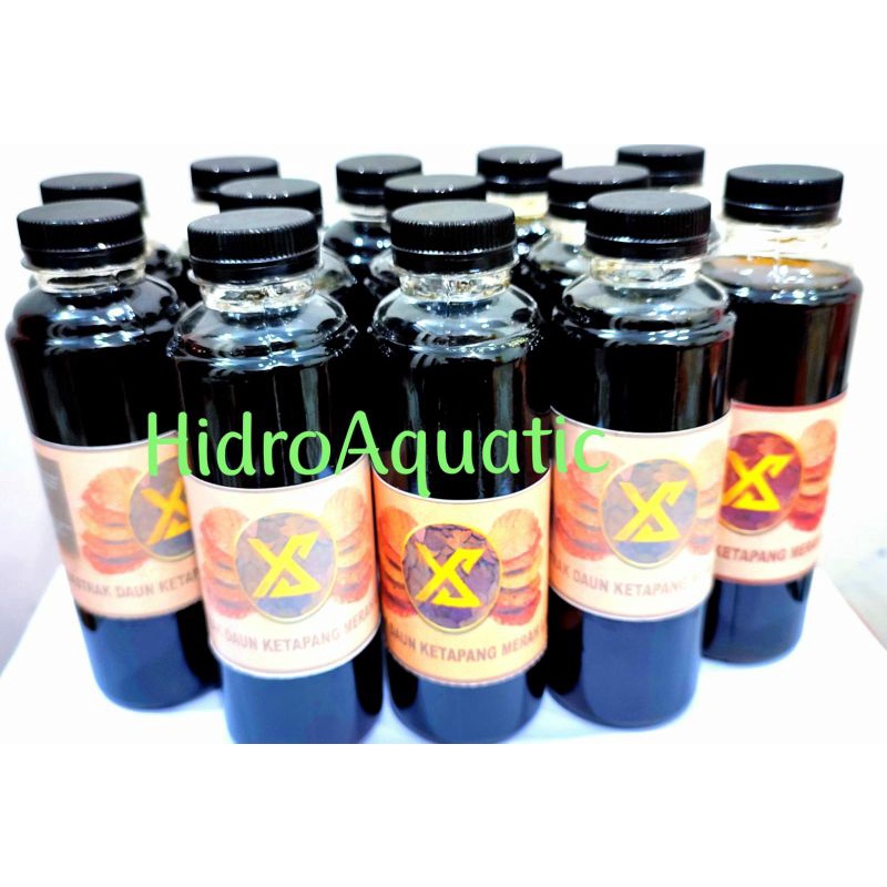 PROMO EKSTRAK DAUN KETAPANG ORIGINAL ISI 250ML / OBAT IKAN / PERAWATAN IKAN / BETTA CUPANG GUPPY