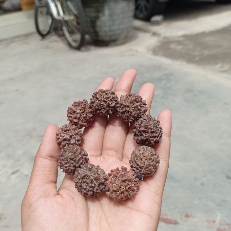 gelang biji jenitri asli