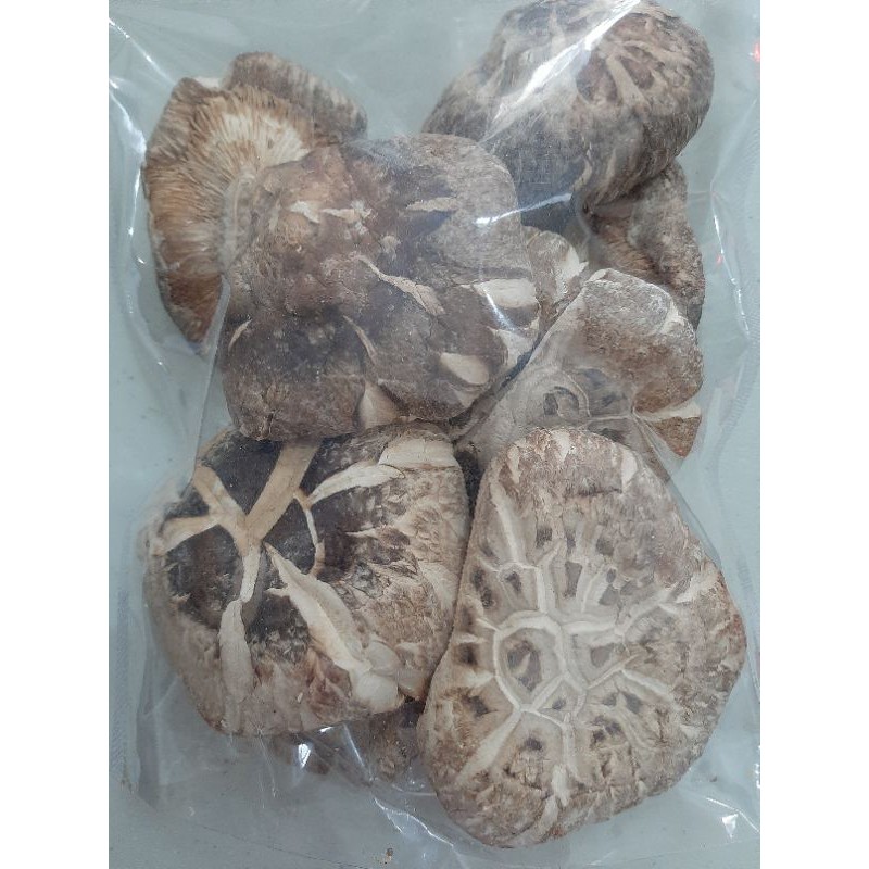 JAMUR HIOKO JUMBO TEBAL KUALITAS BAGUS berat 200gram