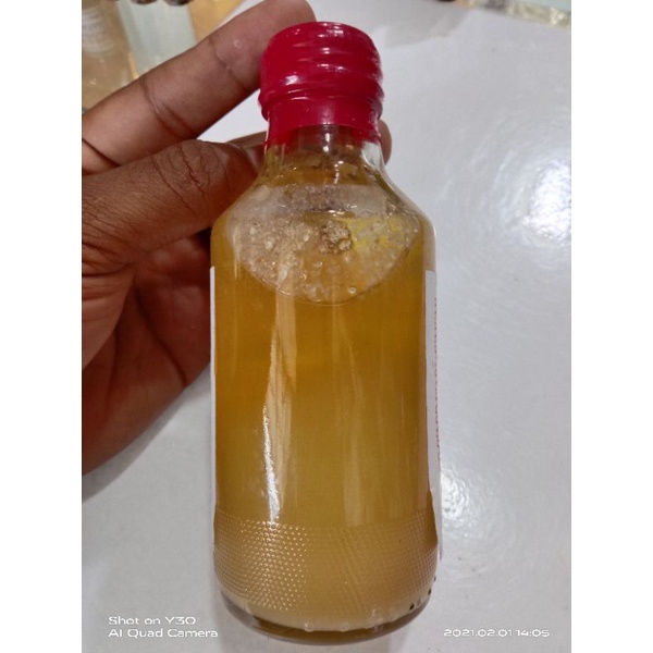 

Herbal kamilantan