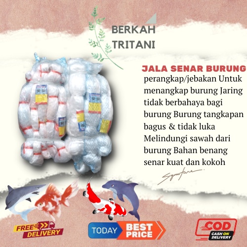 Jaring Burung Emprit pipit 0,15 mm  100MD x 100 YDS Jala Burung Jaring Ikan