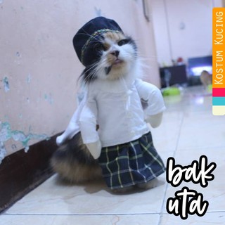 Kostum anak sekolah SD untuk kucing dan anjing lucu baju kucing 