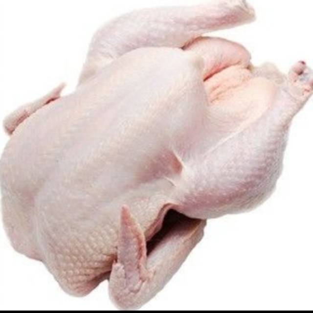 

ayam broiler utuh 0.9 kg