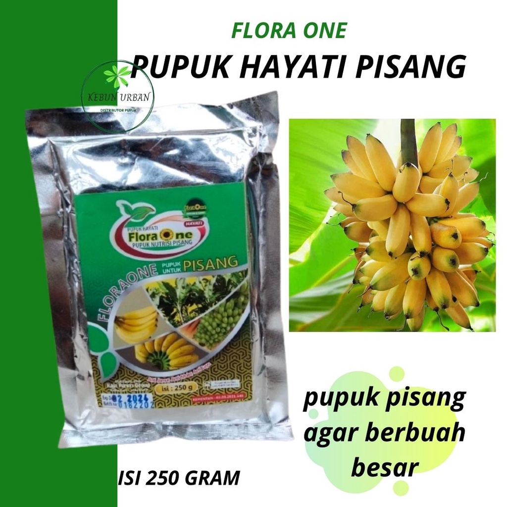Pupuk Pisang Tanduk, RELIQ BIO PISANG, Plus Trichoderma Anti Layu Fusarium, BEST SELLER