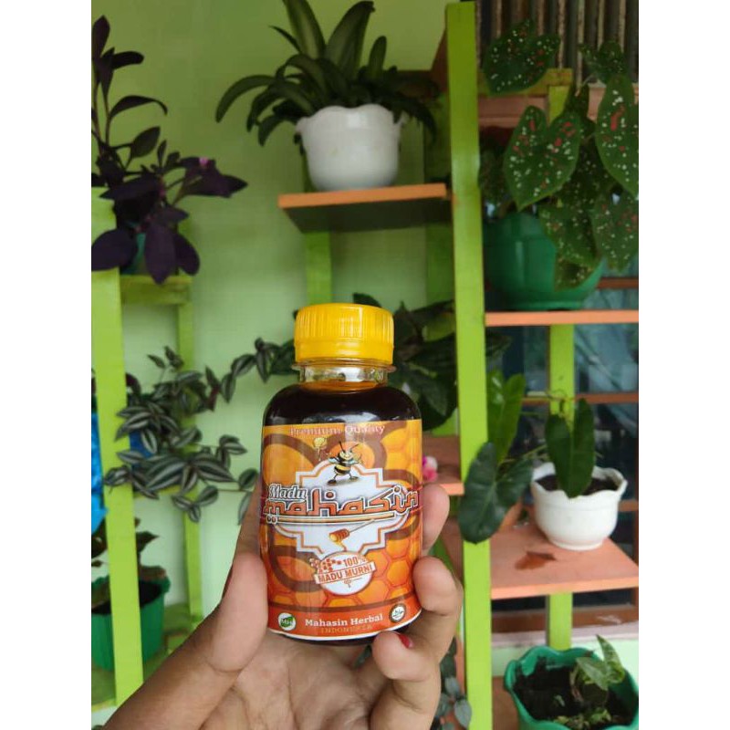

madu murni