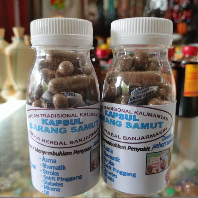 kapsul ekstrak sarang semut. kapsul sarang semut. isi 55 kapsul