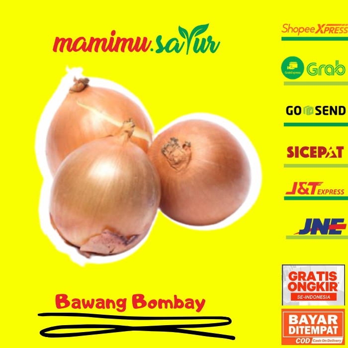 

BAWANG BOMBAY BAWANG BOMBAI SUPER BAWANG BOMBAY 500GRAM BAWANG BOMBAI BESAR 500 GR