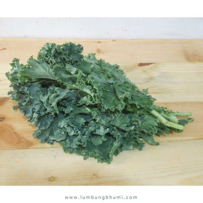 

PROMO KALE CURLY CEBAN ( SAYUR - SAYURAN CURAH ) !!!!!!