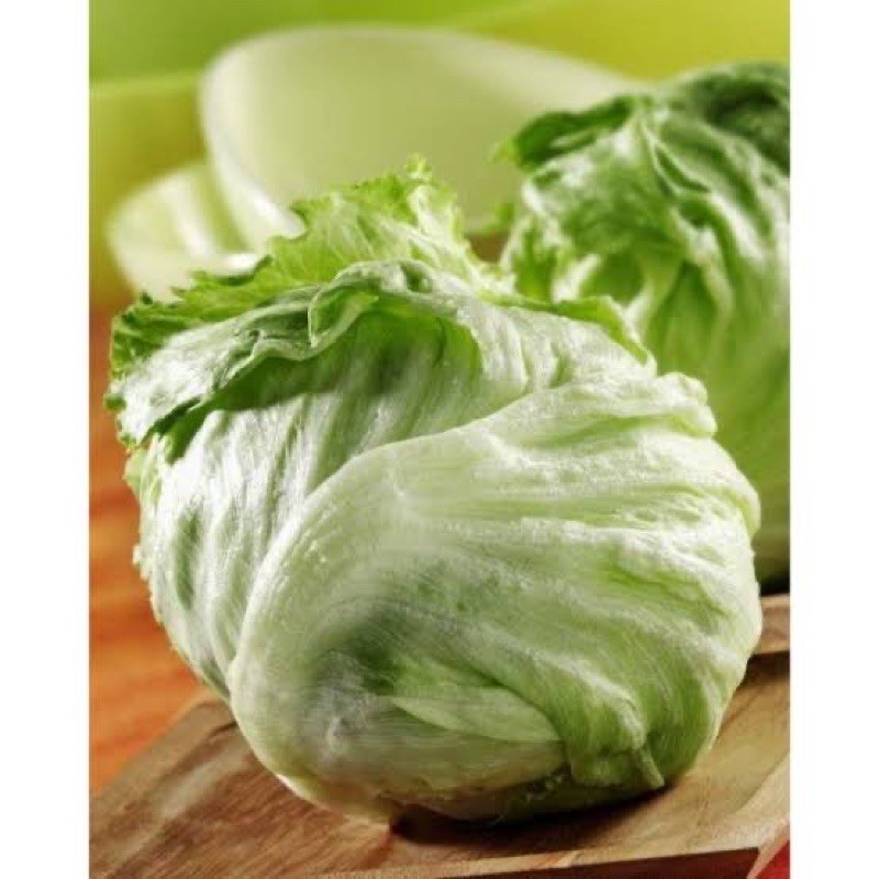 

sayur lettus/lotus 500gram