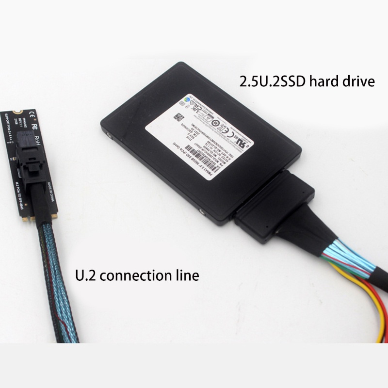 Btsg Kartu Ekspanding Komputer Desktop Untuk M.2PCIE 4.0 Ke SFF8643-U.2Efficient Transmis