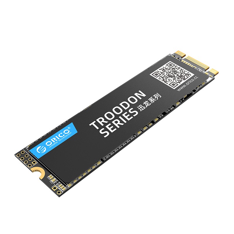 ORICO N300-128GB-BP 128GB M.2 SSD 2280