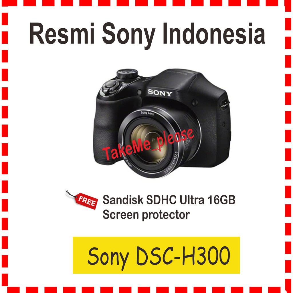 SONY DSC H 300 / H300