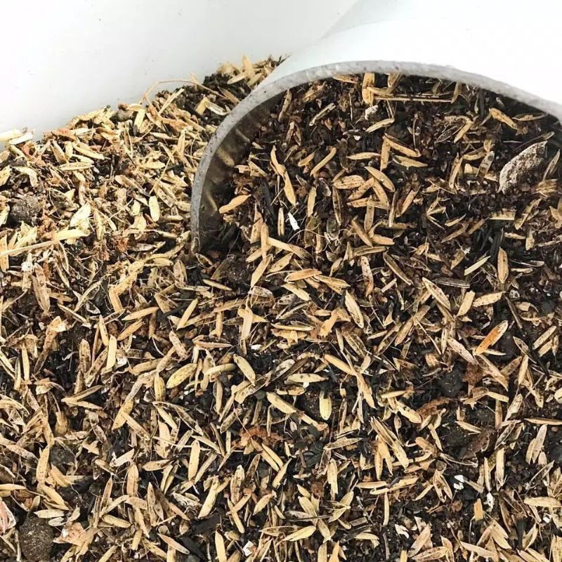 media tanam sekam campur pupuk kandang/1kilo