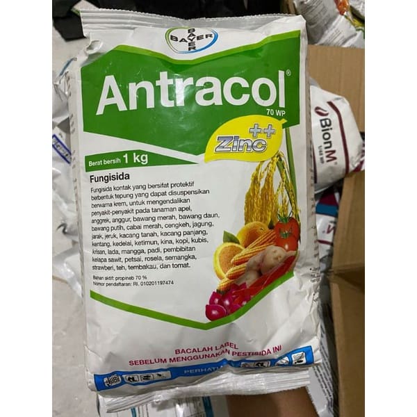 Antracol 70wp 1kg