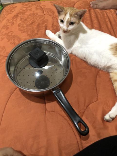 Toko Steam Pot / Panci Kukus Gagang Mini / Panci Susu / Milk Pot 20 Cm