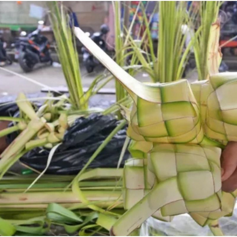 

KULIT KETUPAT UKURAN SEDANG ISI 10