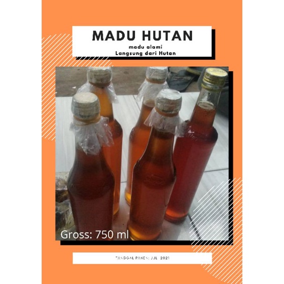 

Madu Hutan Asli Langsung Panen dari Hutan Garut Selatan