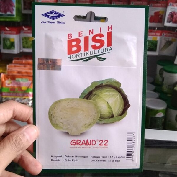 Benih Bibit Kubis Hijau Grand 22 BISI 200 Biji Sayur Cap Kapal Terbang