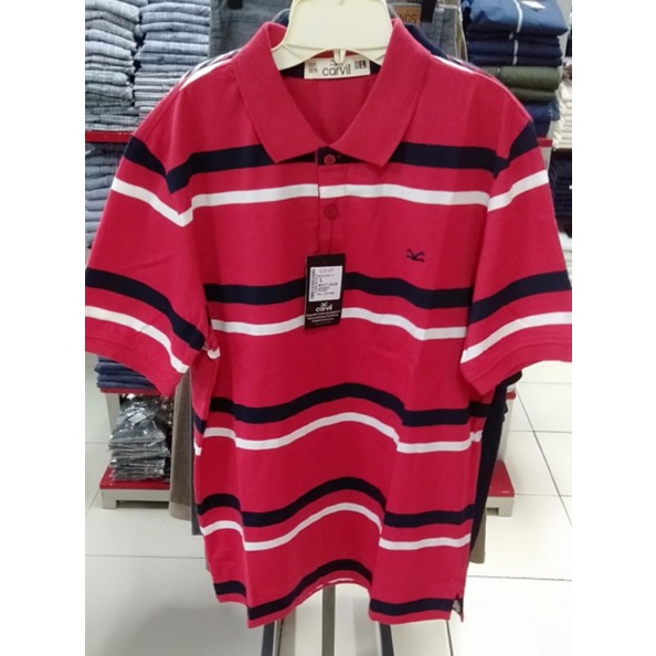 T- shirt Wangki  CARVIL JEANS 100% Original