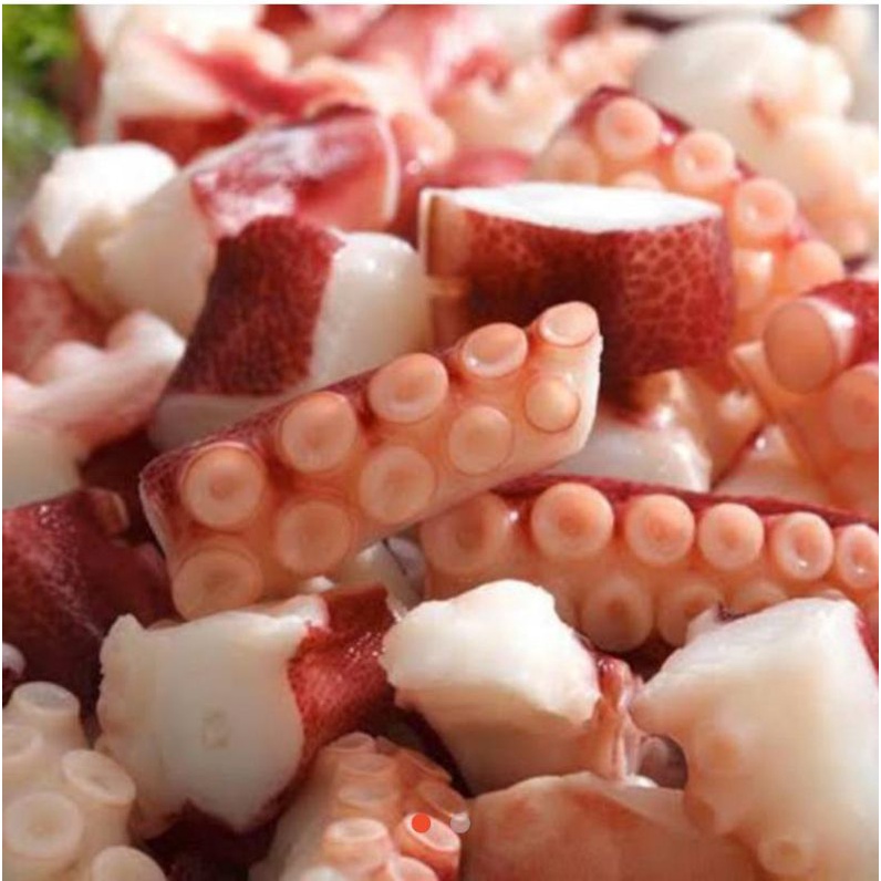 

gurita merah 1Kg packing sterofoam