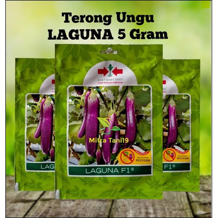 BIBIT BENIH TERONG UNGU LAGUNA 5 GRAM CAP PANAH MERAH